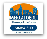 Mercatopoli Parma Sud